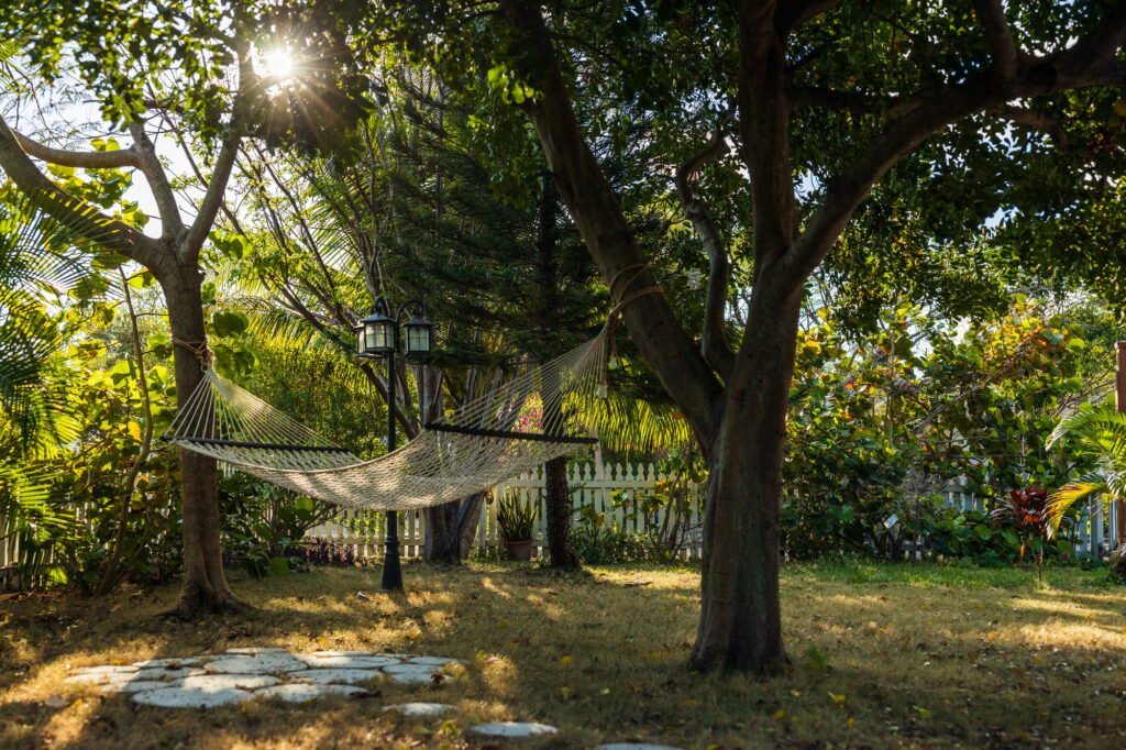 hammock in the tropical back yard